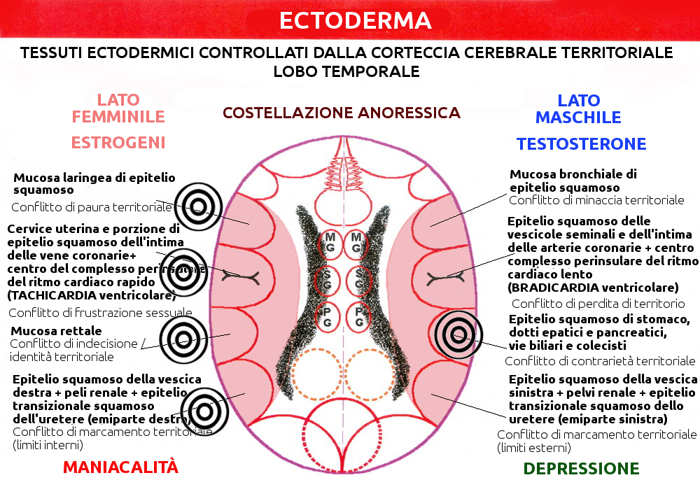 Costellazione Anoressica