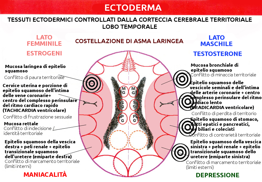 Costellazione dell'Asma Laringeo