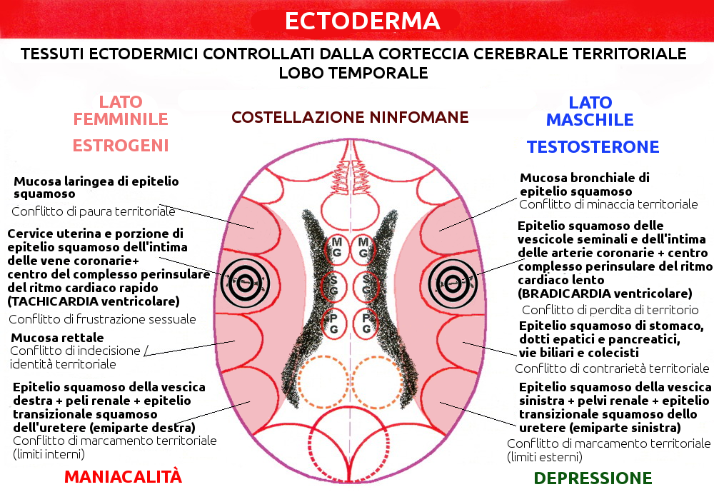 Costellazione Ninfomane