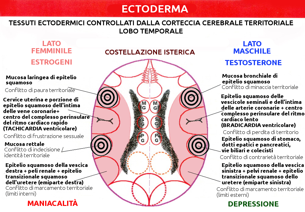 Costellazione Isterica