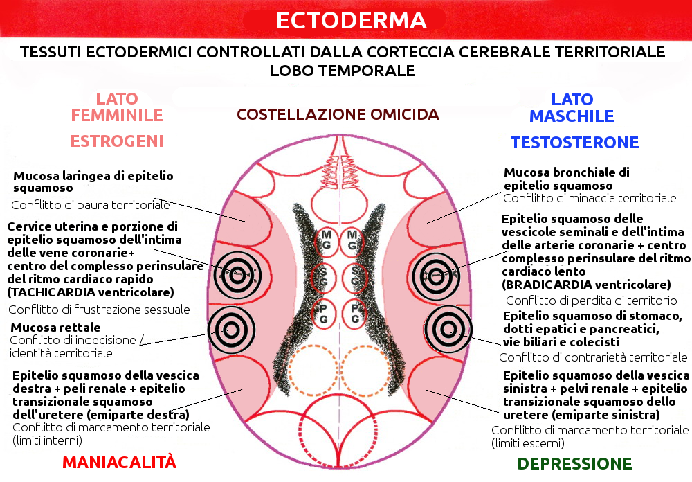 Costellazione Omicida