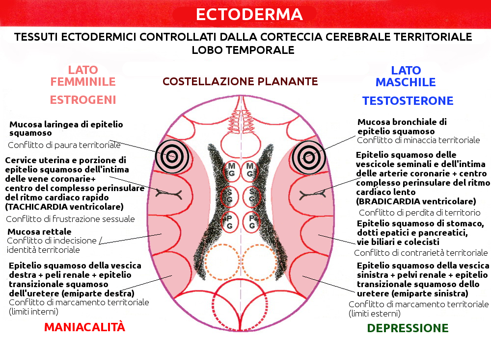 Costellazione Planante