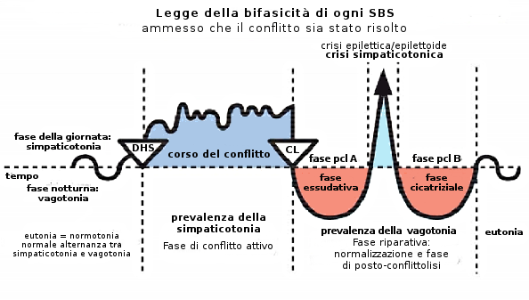 Curva bifasica dell'SBS