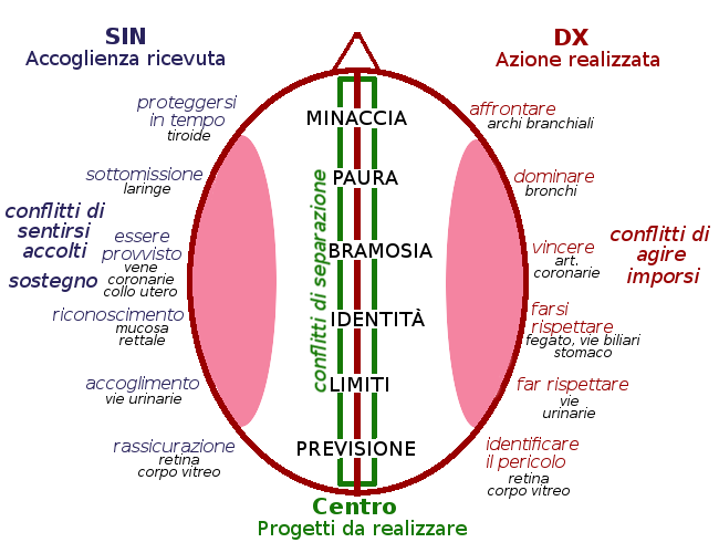 Cartografia cerebrale