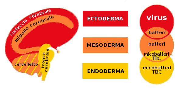 I microorganismi